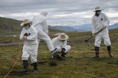 Первая смерть от таинственного хантавируса зафиксирована в Китае