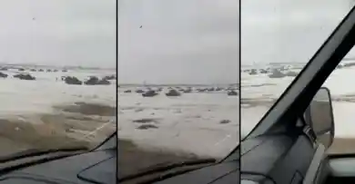 кадр из видео