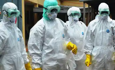 иллюстративное