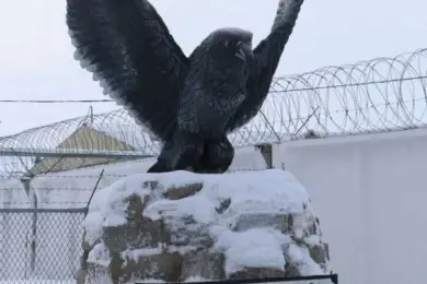 Начальник колонии «Черный беркут» арестован за взятку