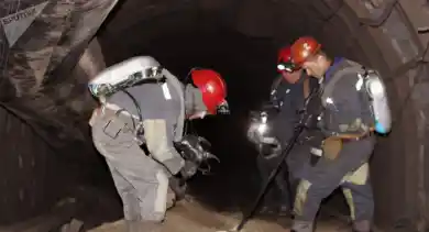 иллюстративное