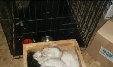 кадр из видео