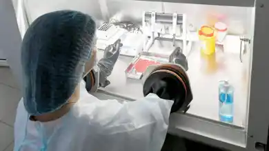 иллюстративное