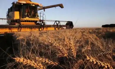 иллюстративное