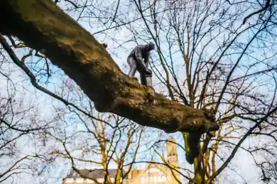 иллюстративное фото