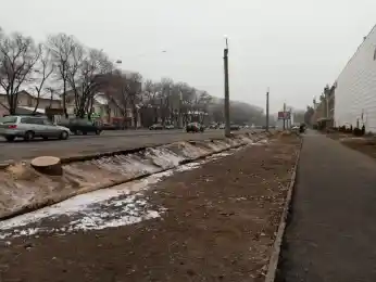 Токаев возмутился продолжающейся вырубкой деревьев в Алматы
