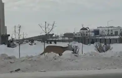 кадр из видео