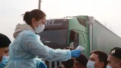 иллюстративное