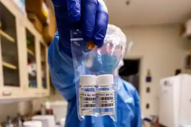 иллюстративное