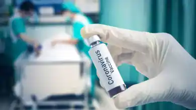 иллюстративное