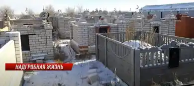 кадр из видео