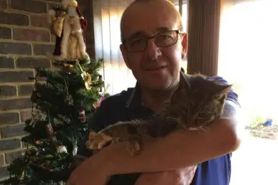 Новогоднее чудо: пропавший британский кот вернулся к хозяевам через семь лет