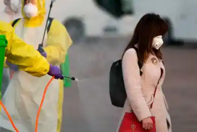 иллюстративное