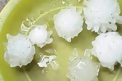 Коронавирусный град накрыл Землю