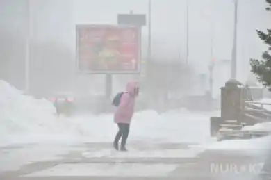 иллюстративное фото