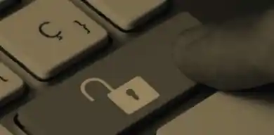 из открытых источников