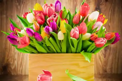 иллюстративное