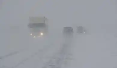 иллюстративное фото