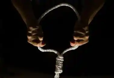 иллюстративное фото