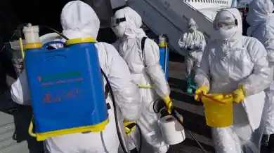 иллюстративное фото