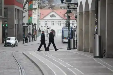 иллюстративное