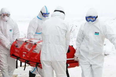 Уже 7597 случаев коронавируса зарегистрировано в Казахстане