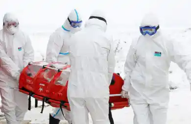 иллюстративное