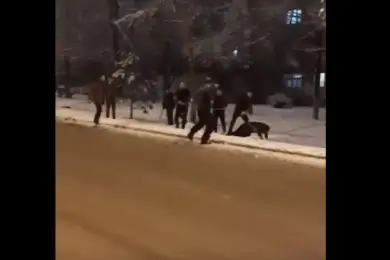 Жестокая драка с битами в руках произошла на улицах Алматы