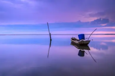 Мужчина вместе с рыбой вытащил загадочное существ. Видео