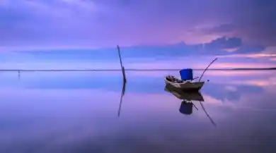 иллюстративное фото