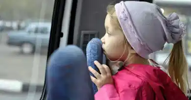 иллюстративное