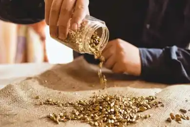 иллюстративное