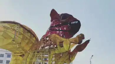 Белка в маске