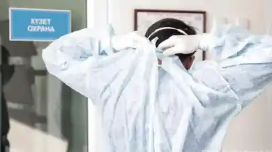 иллюстративное