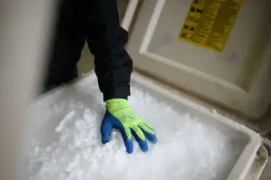 Британский Минздрав отслеживает хранение вакцины от COVID блокчейном