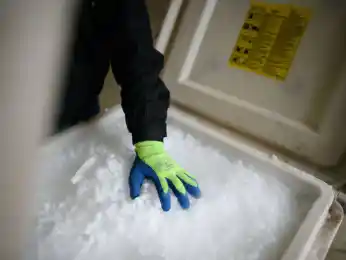 вакцина Pfizer должна храниться при температуре -70