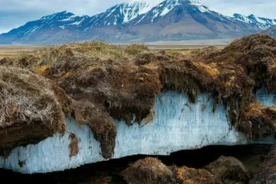 Древние вирусы просыпаются в Сибири из-за потепления