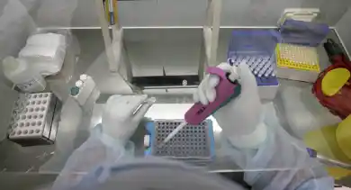 из открытых источников