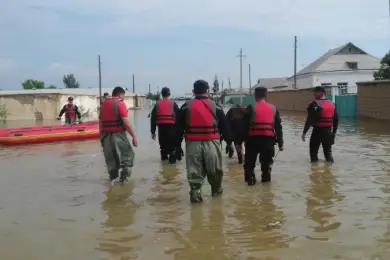 По тысяче долларов от Алишера Усманова уже получили 1300 семей Мактааральского района