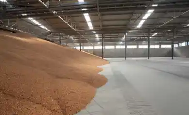 иллюстративное фото