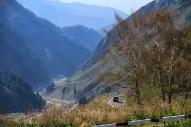 иллюстративное фото