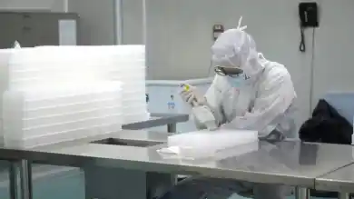 иллюстративное фото