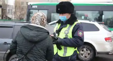 иллюстративное