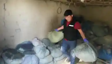 иллюстративное