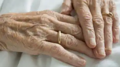 иллюстративное фото