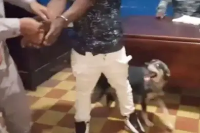 Собака стала адвокатом задержанного хозяина. Видео