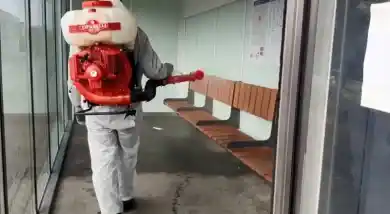 кадр из видео