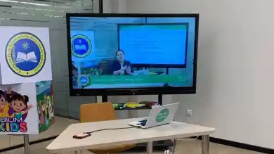 иллюстративное