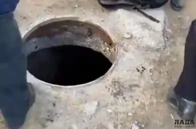 кадр из видео