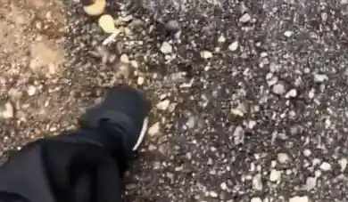 кадр из видео